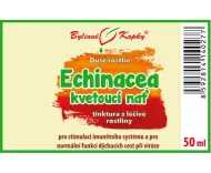 Echinacea (třapatka) kvetoucí nať (kapky Duše rostlin - tinktura) 50 ml