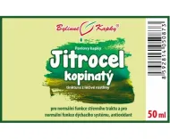 Jitrocel kopinatý - bylinné kapky (tinktura) 50 ml