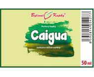 Caigua (ačokča) - bylinné kapky (tinktura) 50 ml