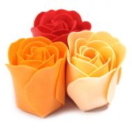 Sada 9 Mýdlových Květů - Broskvové Růže