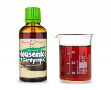 Housenice - Cordyceps - bylinné kapky (tinktura) 50 ml