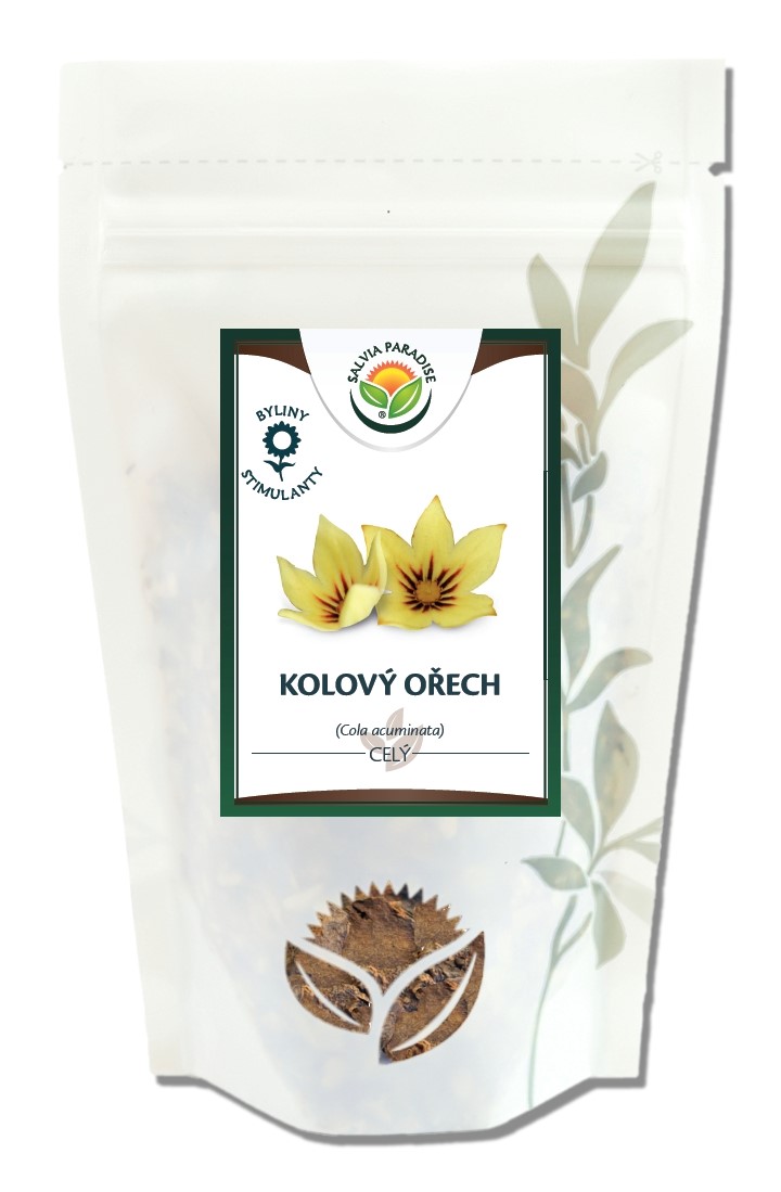 Cola acuminata - celý kolový ořech 100 g Cola acuminata - celý kolový ořech 100 g