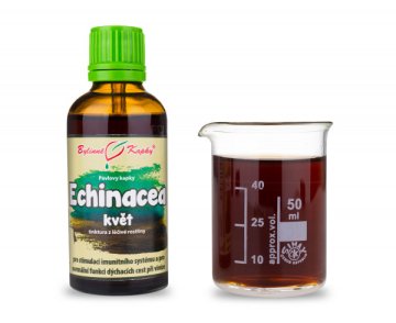Echinacea (třapatka) květ (bylinné kapky - tinktura) 50 ml