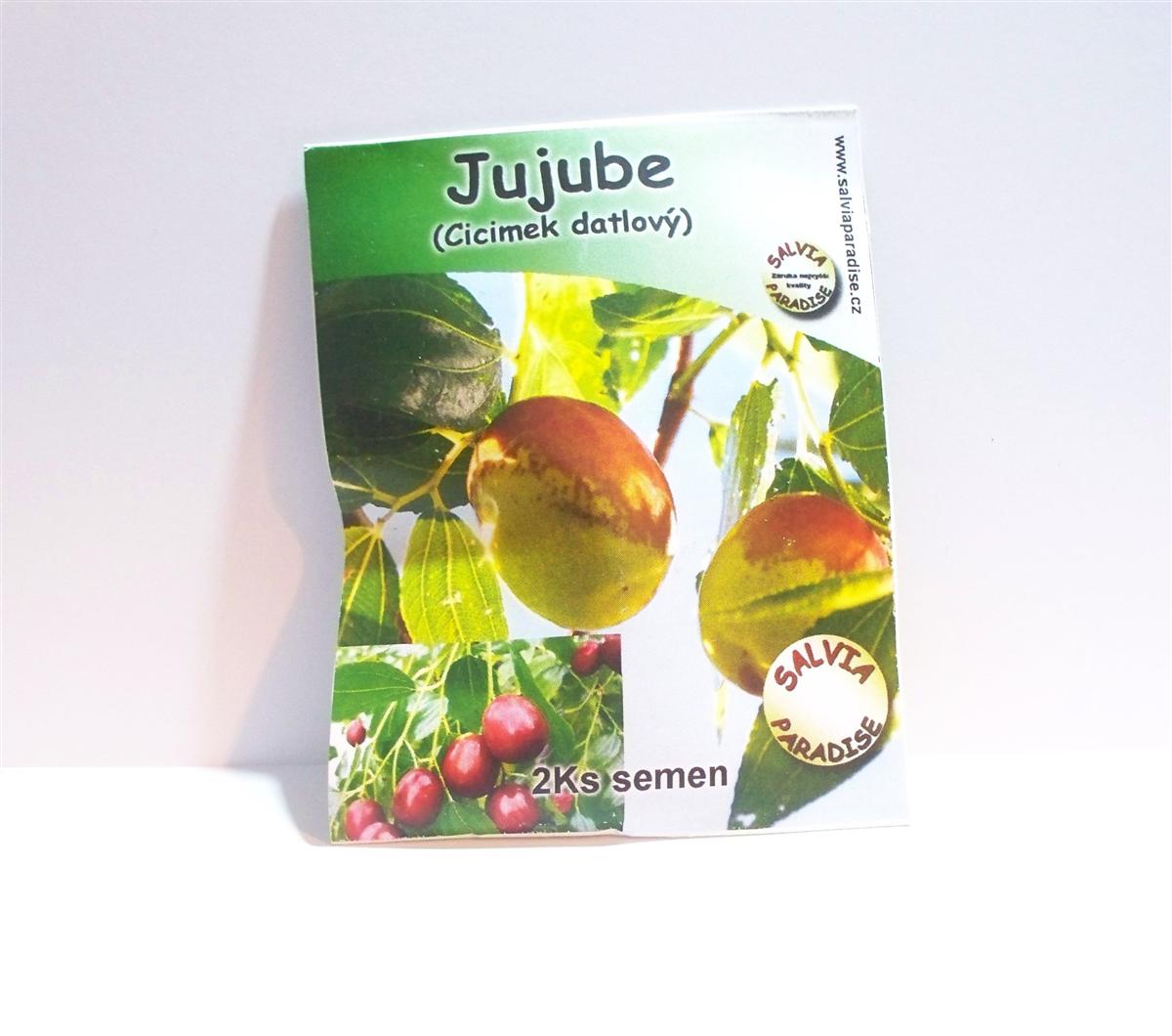 Jujube - cicimek datlový semena 2 Ks Jujube - cicimek datlový semena 2 Ks