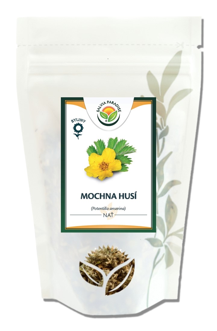 Mochna husí - nať 50 g Mochna husí - nať 50 g