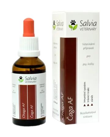 Čaga pro psy a kočky, bylinné kapky (tinktura) 50 ml