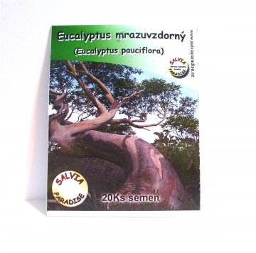 Eucalyptus mrazuvzdorný semena 20 Ks Eucalyptus mrazuvzdorný semena 20 Ks