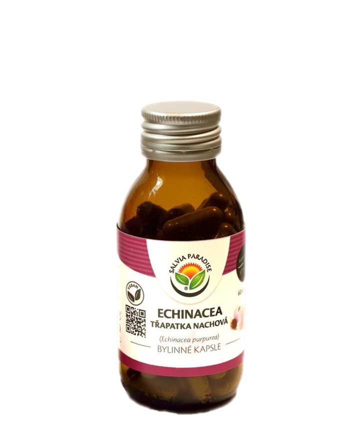 Echinacea - třapatka nachová kapsle 60 ks Echinacea - třapatka nachová kapsle 60 ks