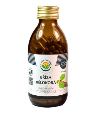 Bříza bělokorá kapsle 120 ks Bříza bělokorá kapsle 120 ks