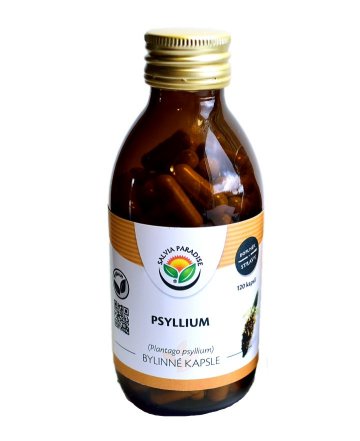 Psyllium kapsle 120 ks 