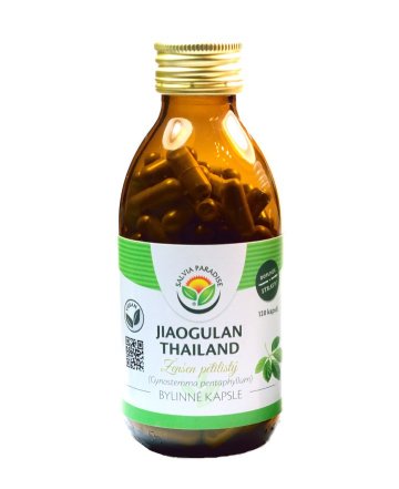Jiaogulan Thailand kapsle 120 ks Jiaogulan Thailand kapsle 120 ks