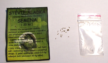 Stévie sladká semena 10 Ks Stévie sladká semena 10 Ks