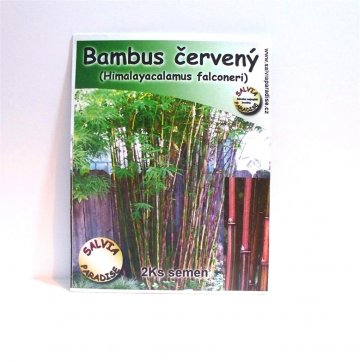 Bambus červený - semena 2ks Bambus červený - semena 2ks