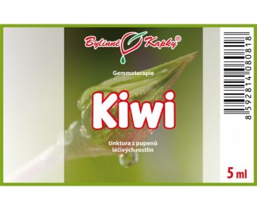 Kiwi - tinktura z pupenů 5 ml - gemmoterapie