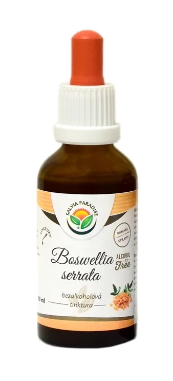 Boswellia serrata - Kadidlovník bylinné kapky (tinktura) bez alkoholu 50 ml