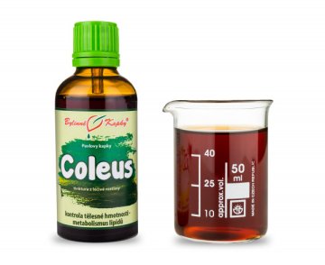 Coleus - bylinné kapky (tinktura) 50 ml