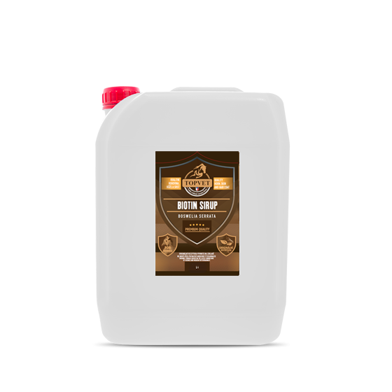 Sirup Biotin s boswelií 5 l Sirup Biotin s boswelií 5 l