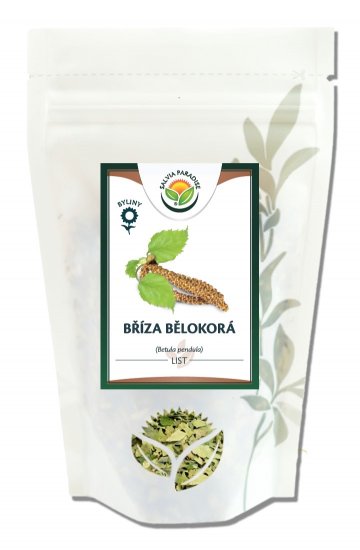 Bříza bělokorá list 50 g Bříza bělokorá list 50 g