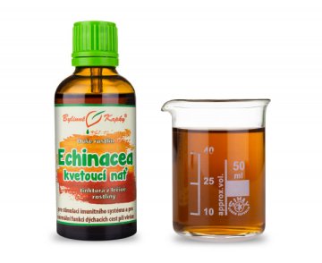 Echinacea (třapatka) kvetoucí nať (kapky Duše rostlin - tinktura) 50 ml
