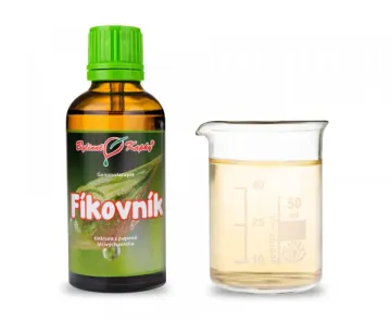 Fíkovník - tinktura z pupenů 50 ml - gemmoterapie