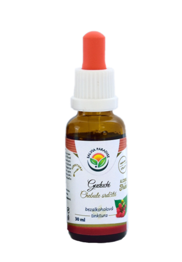 Guduchi - Chebule srdčitá AF tinktura 30 ml Guduchi - Chebule srdčitá AF tinktura 30 ml