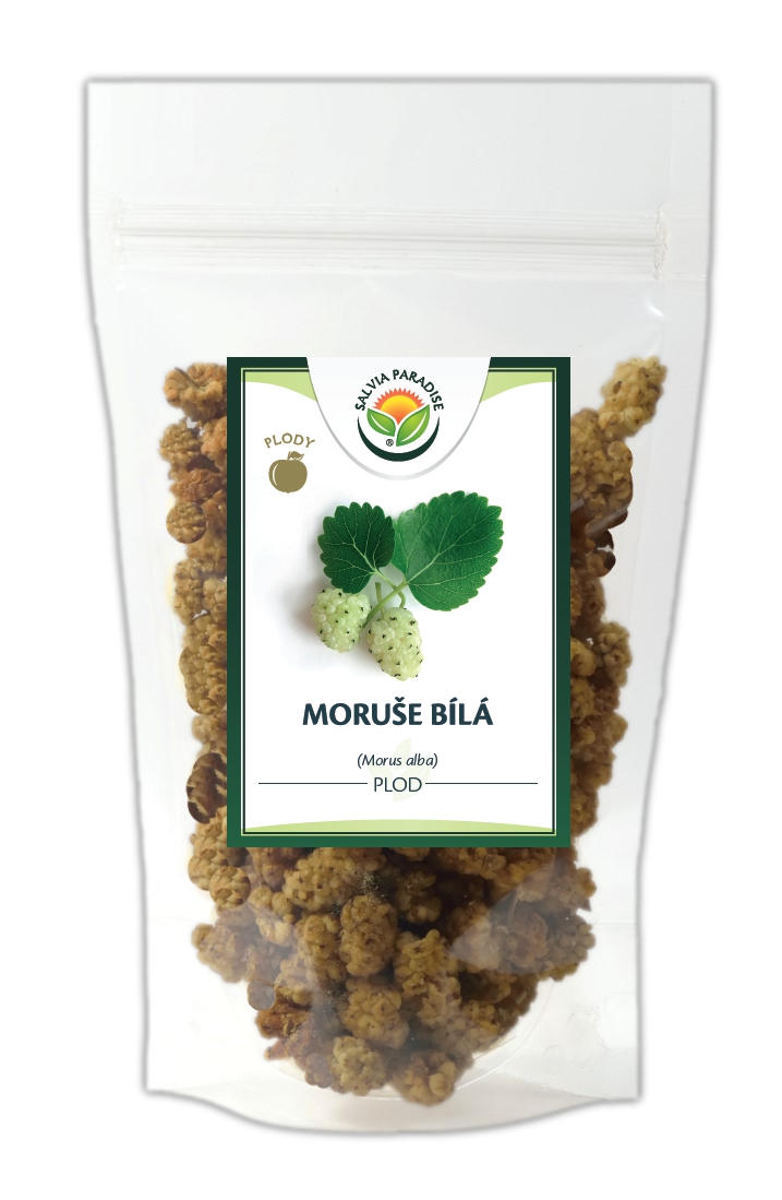 Moruše bílá plody 100 g Moruše bílá plody 100 g