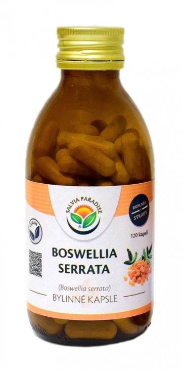 Boswellia serrata - kadidlovník kapsle 120 ks Boswellia serrata - kadidlovník kapsle 120 ks