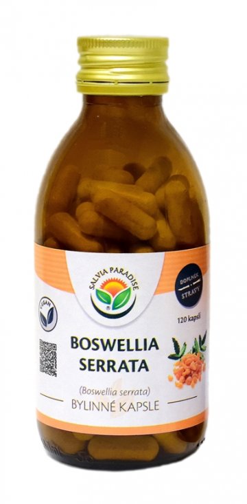 Boswellia serrata - kadidlovník kapsle 120 ks 