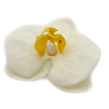 Mýdlové květy - orchidej - krémová (25 ks v balení)