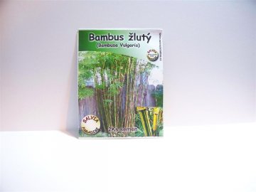 Bambus žlutý - semena 2ks Bambus žlutý - semena 2ks