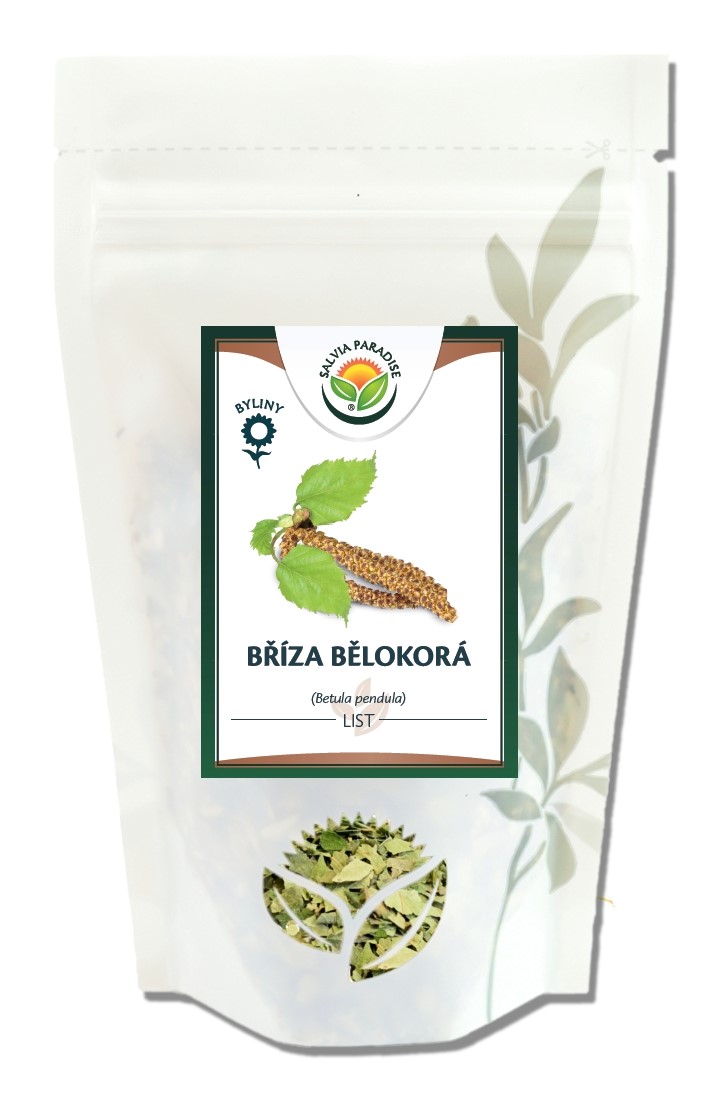 Bříza bělokorá list 30 g Bříza bělokorá list 30 g