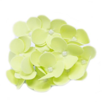 Mýdlové květy - hortenzie - světle zelená (36 ks v balení)